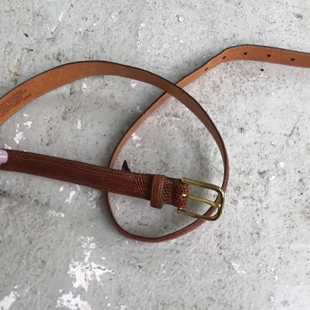 Brighton lizard belt